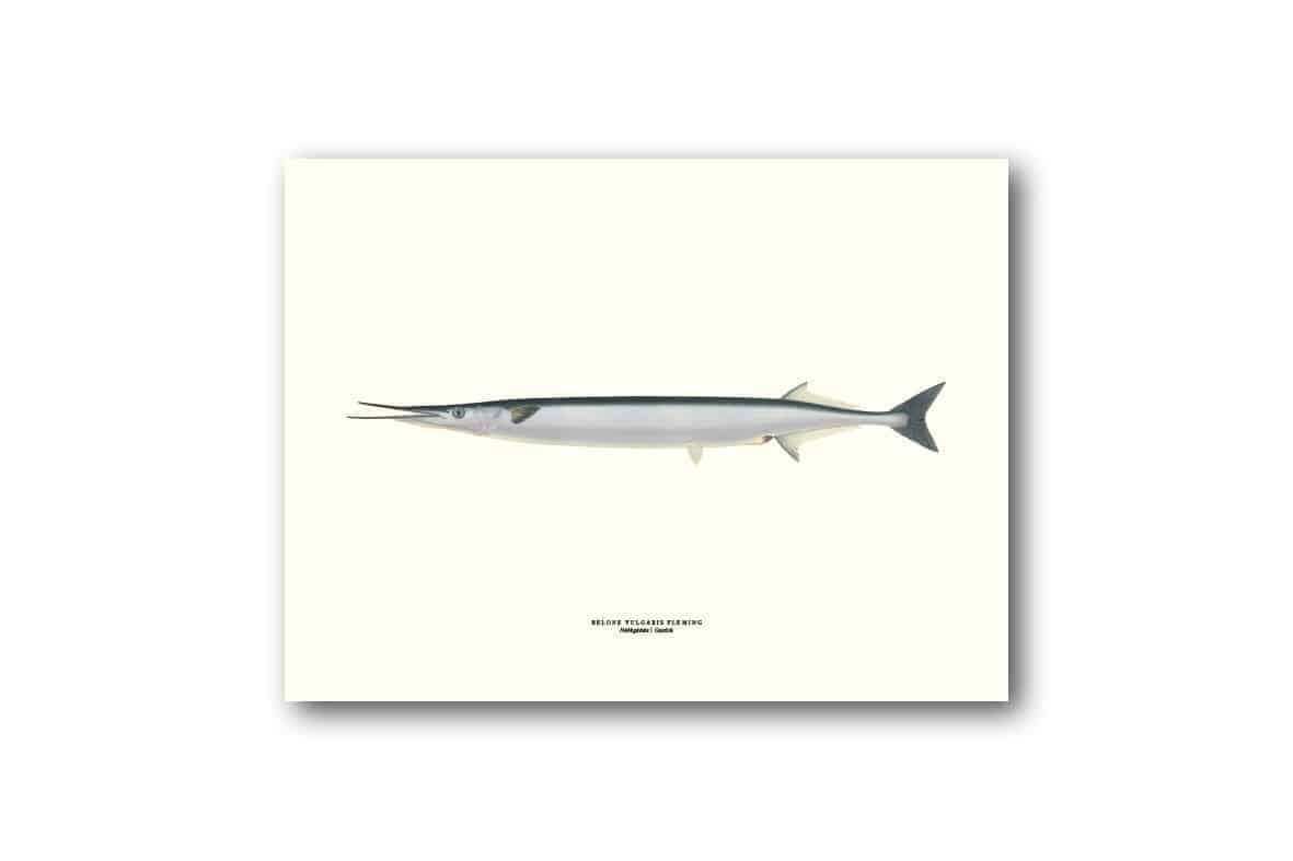 Affisch medium näbbgadda.jpg