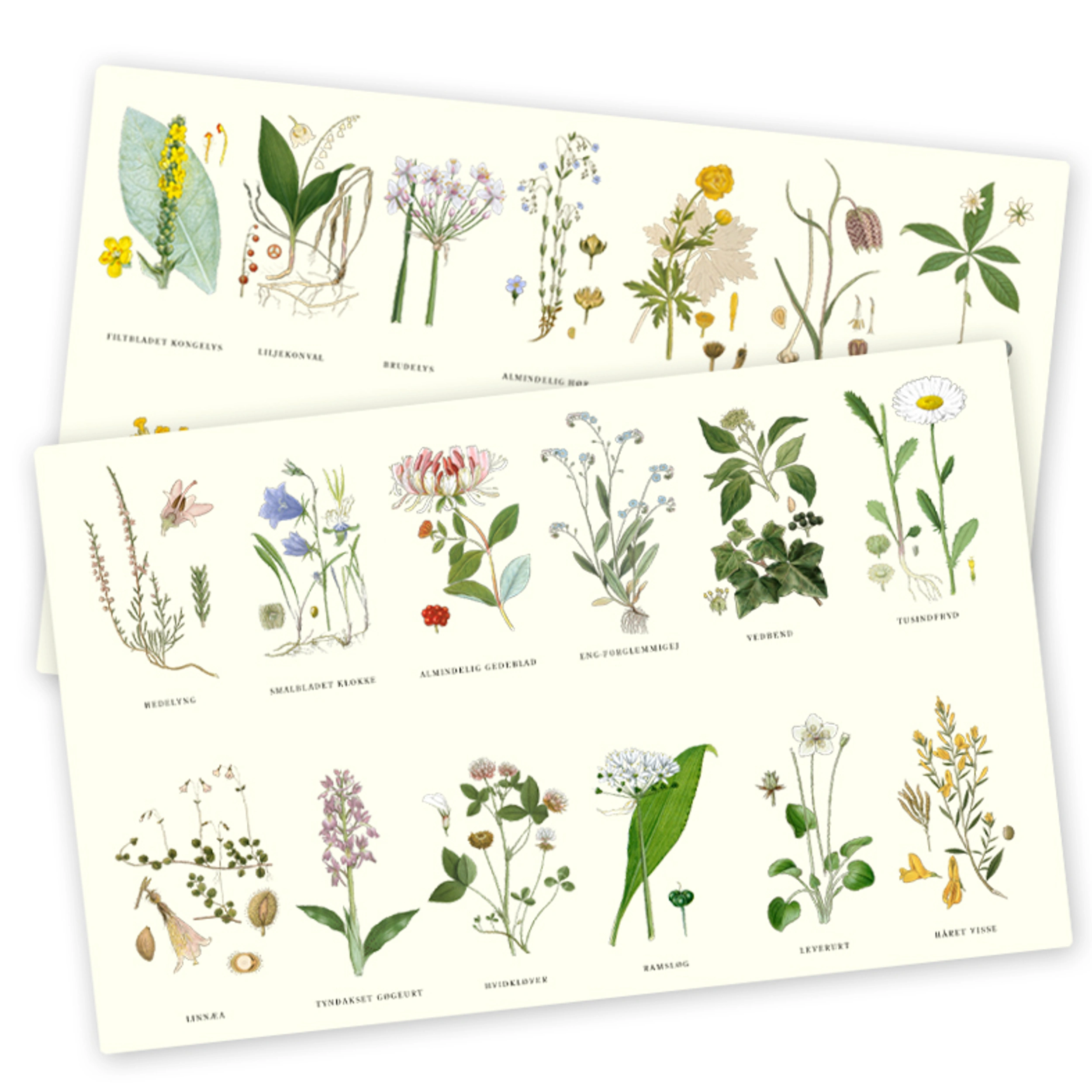 Bordmåtte Flora Dansk