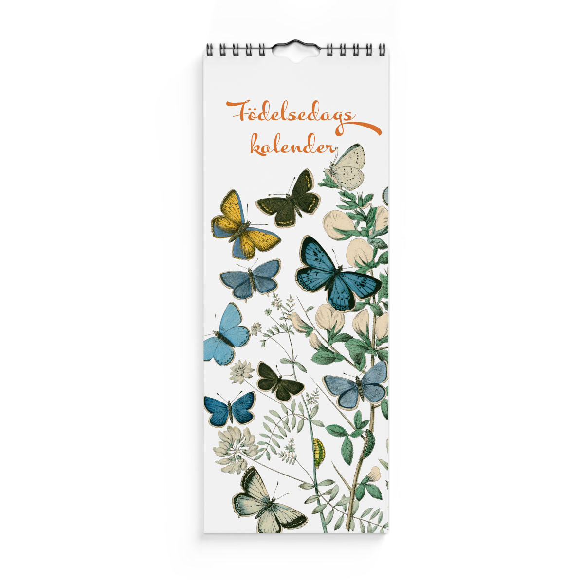 Födelsedagskalender Fjärilar.jpg