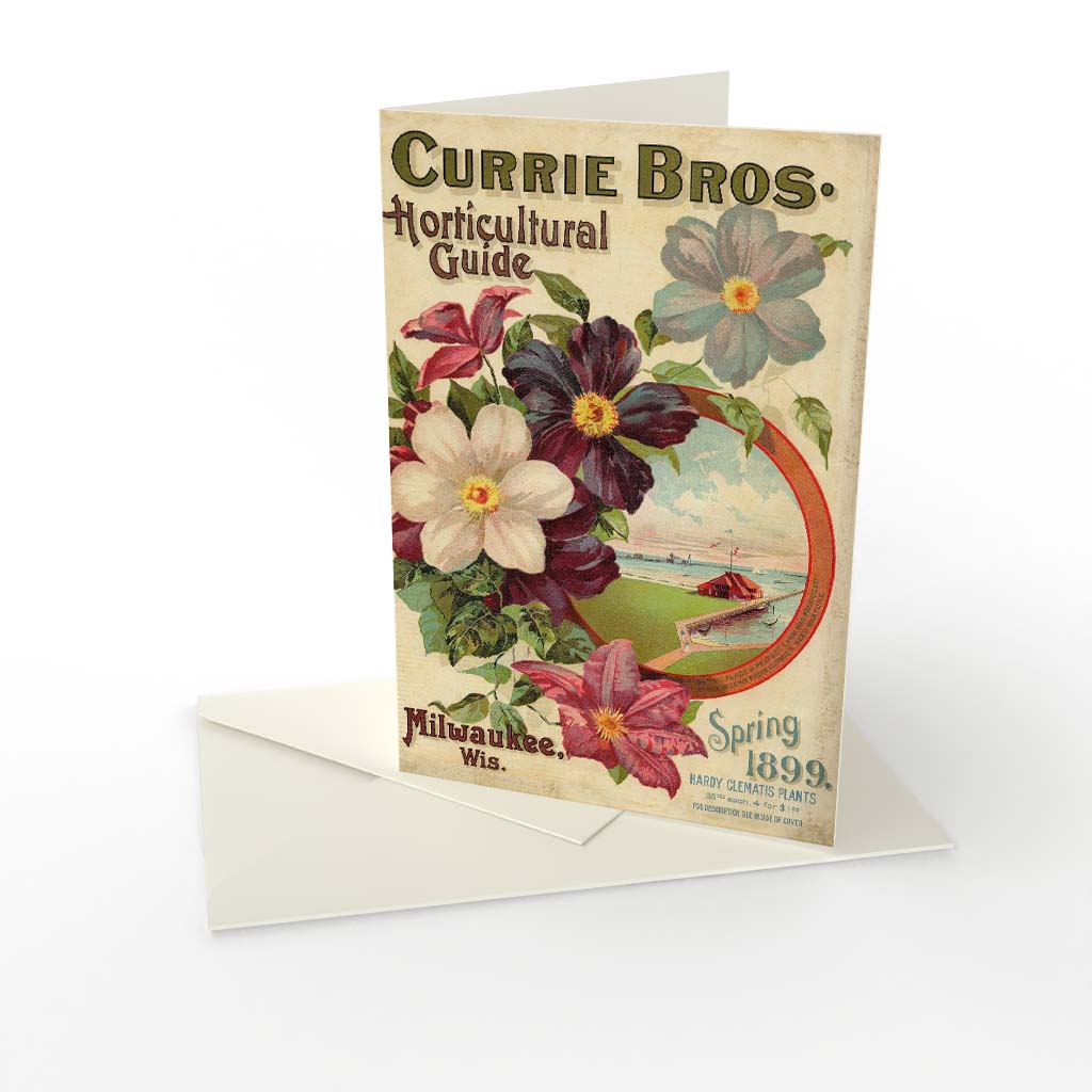 Kort vikt Currie seeds Klematis.jpg