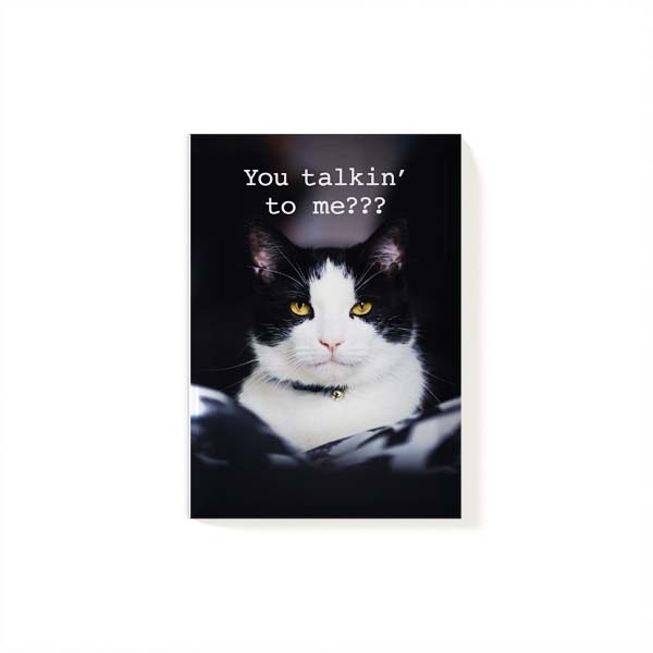 Magnet Cat 1.jpg
