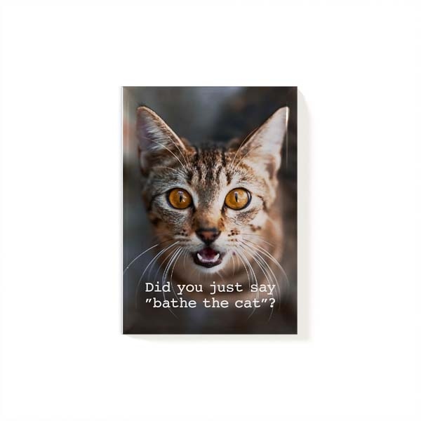 Magnet Cat 2.jpg