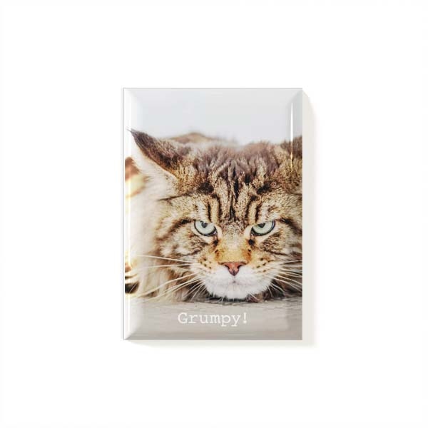 Magnet Cat 3.jpg