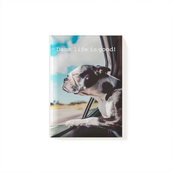 Magnet Dog 2.jpg