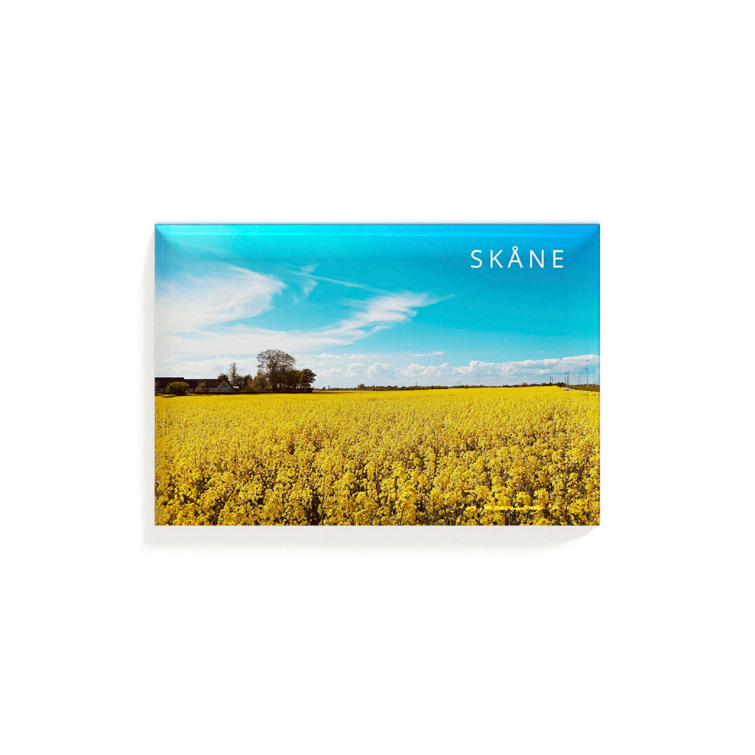 Magnet Skåne rapsfält.jpg