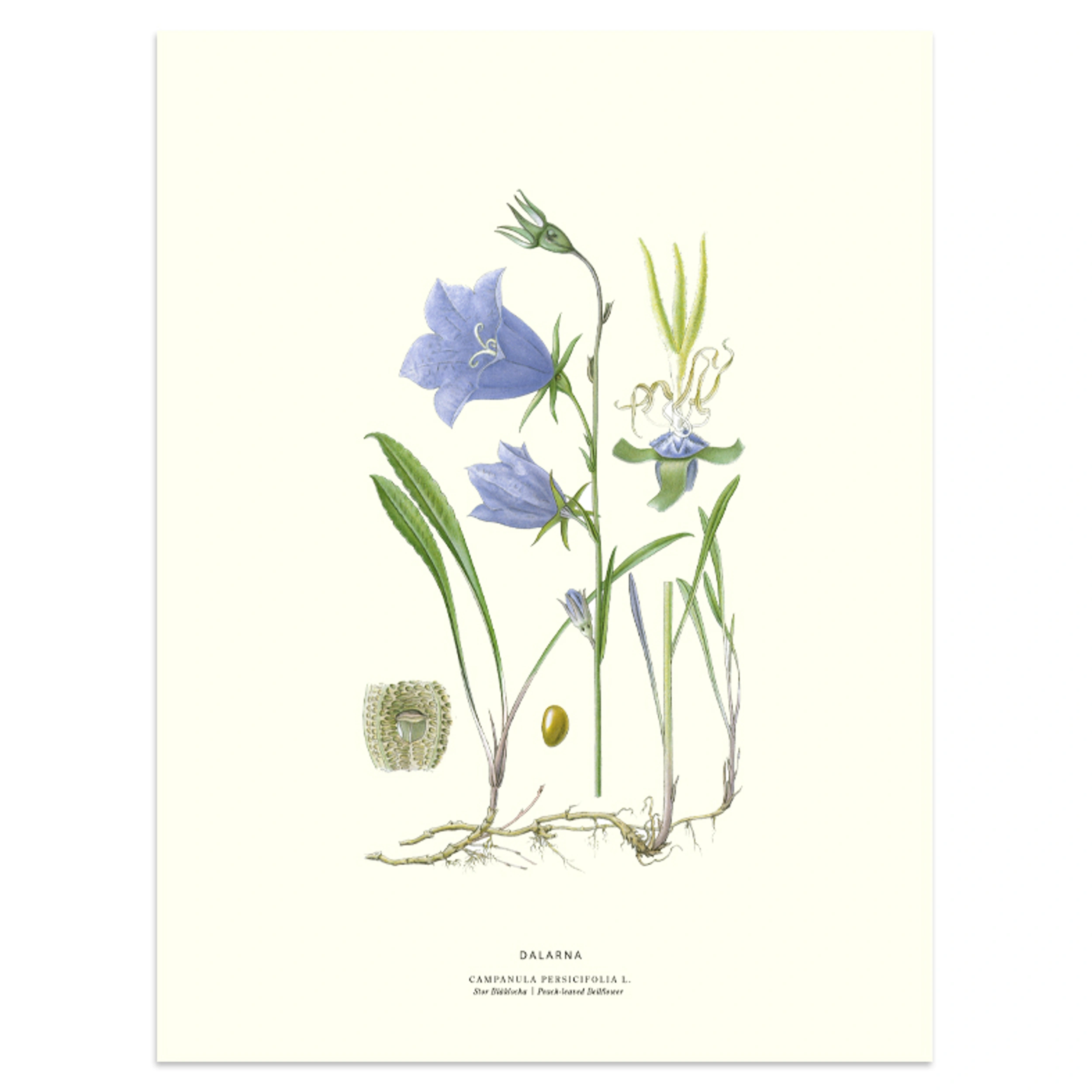 Poster 30x40 Dalarna
