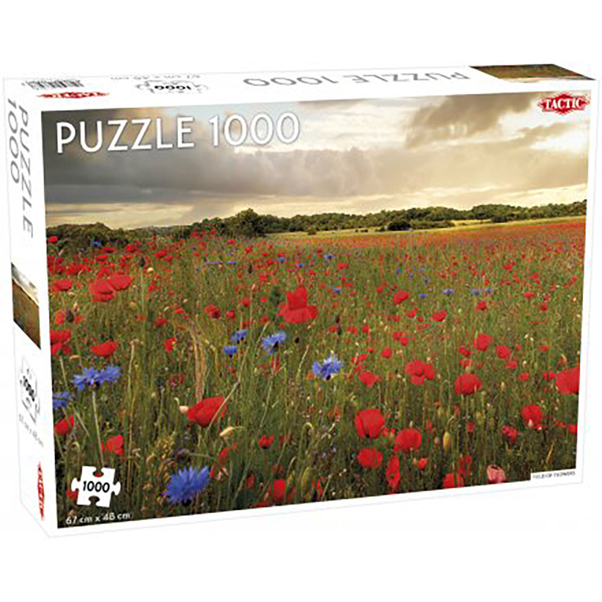 Pussel Field of Flowers 1000 bitar.jpg