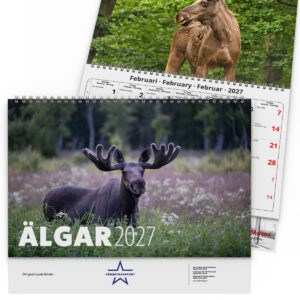 Väggkalender Älgar 2027 R - Bild 3