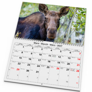 Väggkalender Älgar 2027 - Bild 3