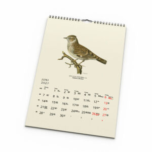 Väggkalender Fåglar 2027 - Bild 3