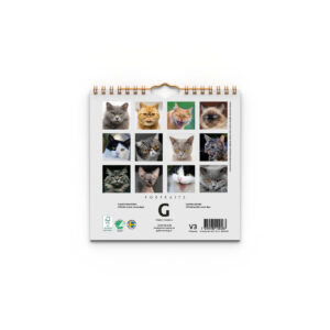 Väggkalender Grumpy Cats Mini 2027 - Bild 4