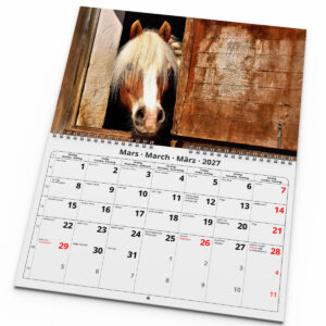 Väggkalender Hästar Medium 2027 - Bild 3