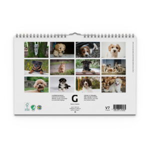 Väggkalender Hundar Medium 2027 - Bild 4