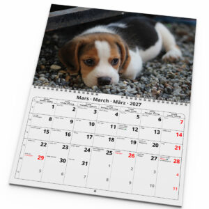 Väggkalender Hundar Medium 2027 - Bild 3