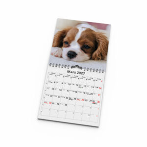 Väggkalender Hundar Mini 2027 - Bild 3