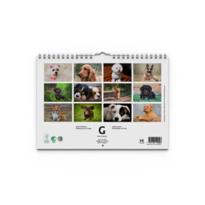 Väggkalender Hundar Small 2027 - Bild 4
