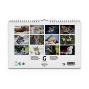 Väggkalender Katter Medium 2027 - Bild 4