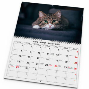 Väggkalender Katter Medium 2027 - Bild 3