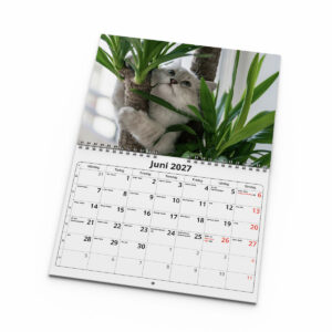 Väggkalender Katter Small 2027 - Bild 3