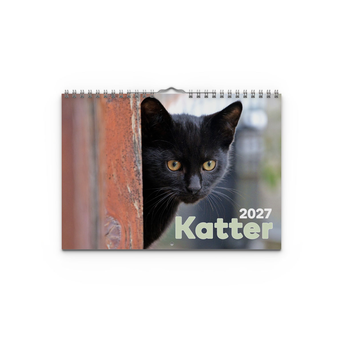Väggkalender Katter Small 2027