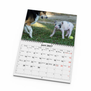 Väggkalender Vänner 2027 - Bild 3