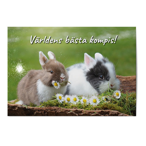 Vykort Världens bästa kompis.jpg