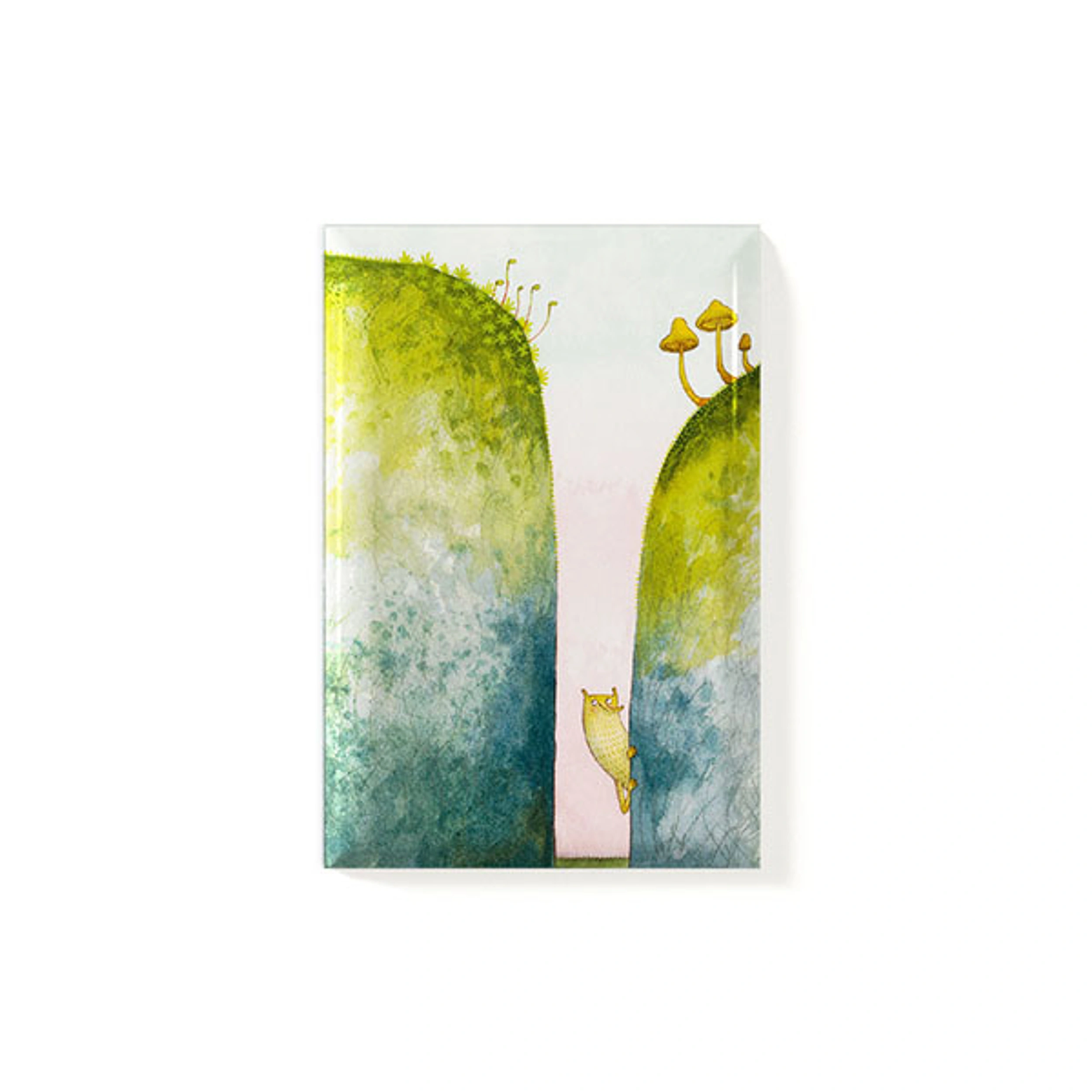 Magnet Dim stenar