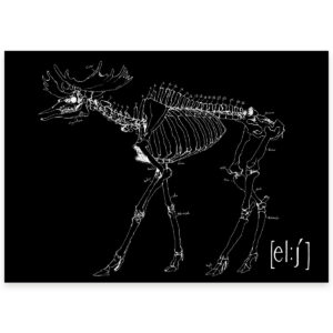 Poster 50x70 Lokalt motiv - Bild 7