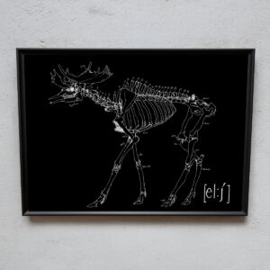 Poster 50x70 Lokalt motiv - Bild 6